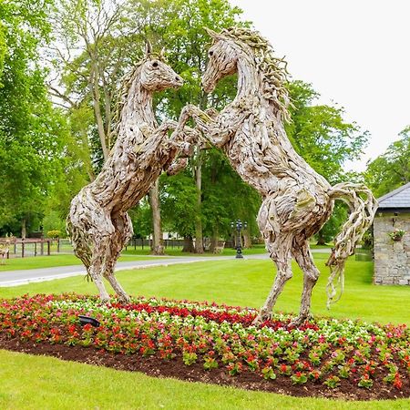 Bective Stud Apartments Navan Luaran gambar