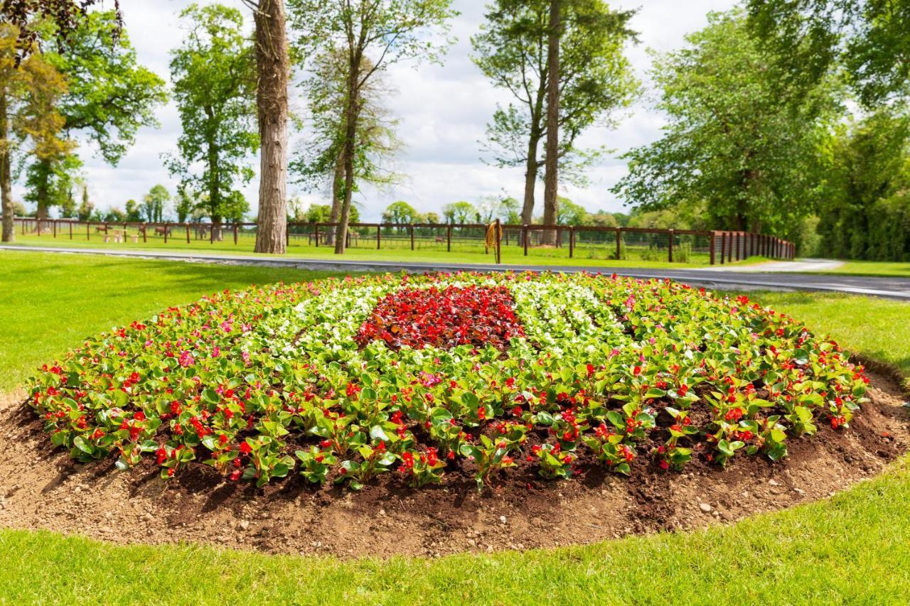 Bective Stud Apartments Navan Luaran gambar